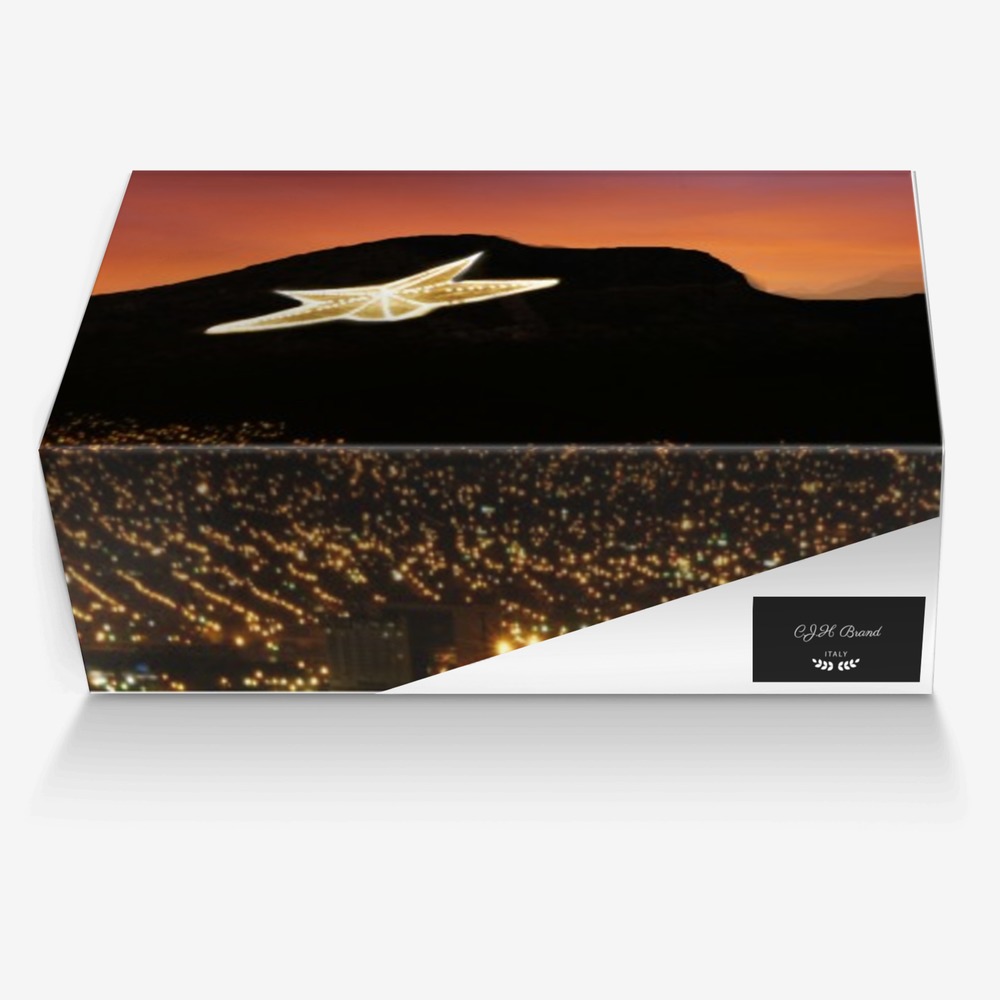 C.J.H Brand custom made in Italy shoes by Latoya Jackson | Box view