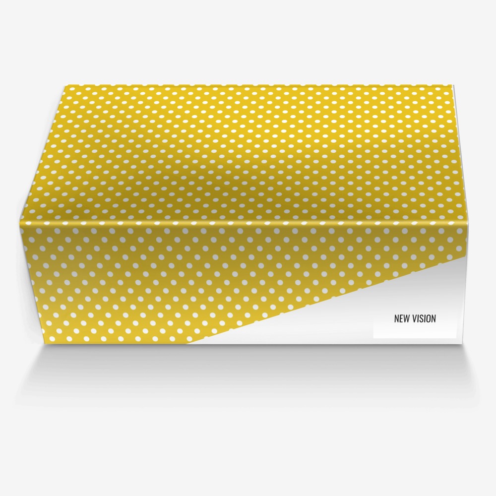 NEW VISION custom made in Italy shoes by Sophie Han | Box view