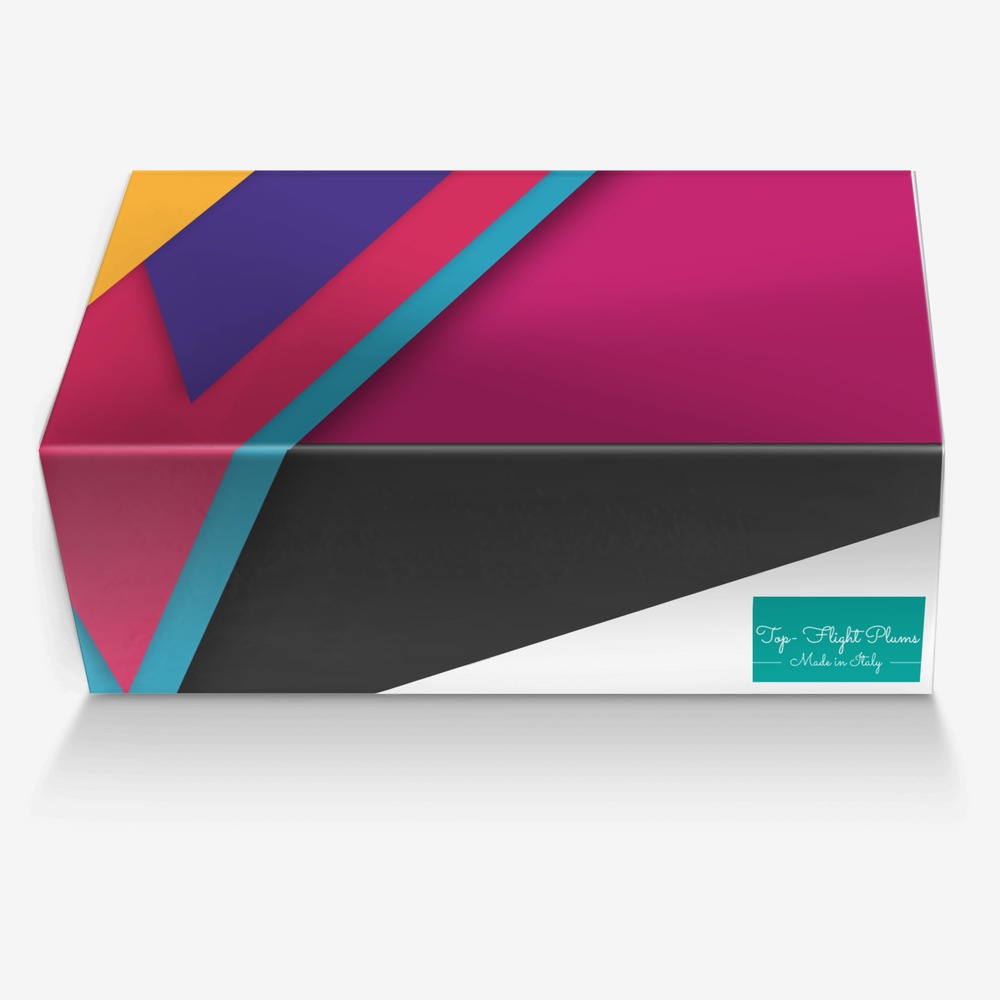 Top- Flight Plums custom made in Italy shoes by Queen Carr | Box view