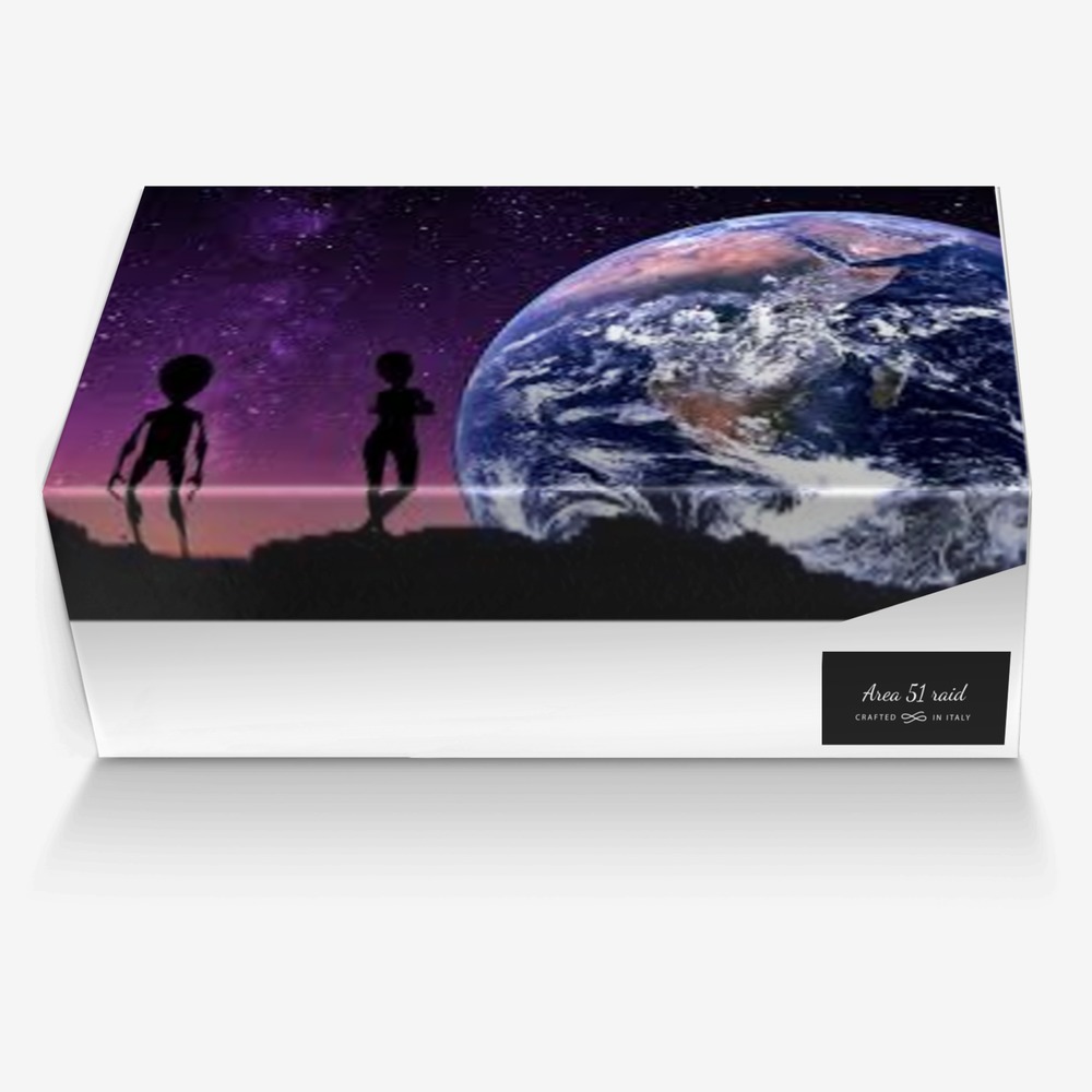 Area 51 raid custom made in Italy shoes by Kimberly Bernstorff | Box view