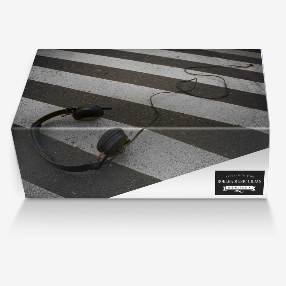 Roblea Music Urban custom made in Italy shoes by Robert Leach | Box view