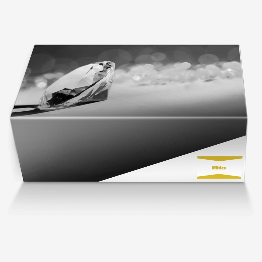 Miltics  custom made in Italy shoes by James Naylor | Box view