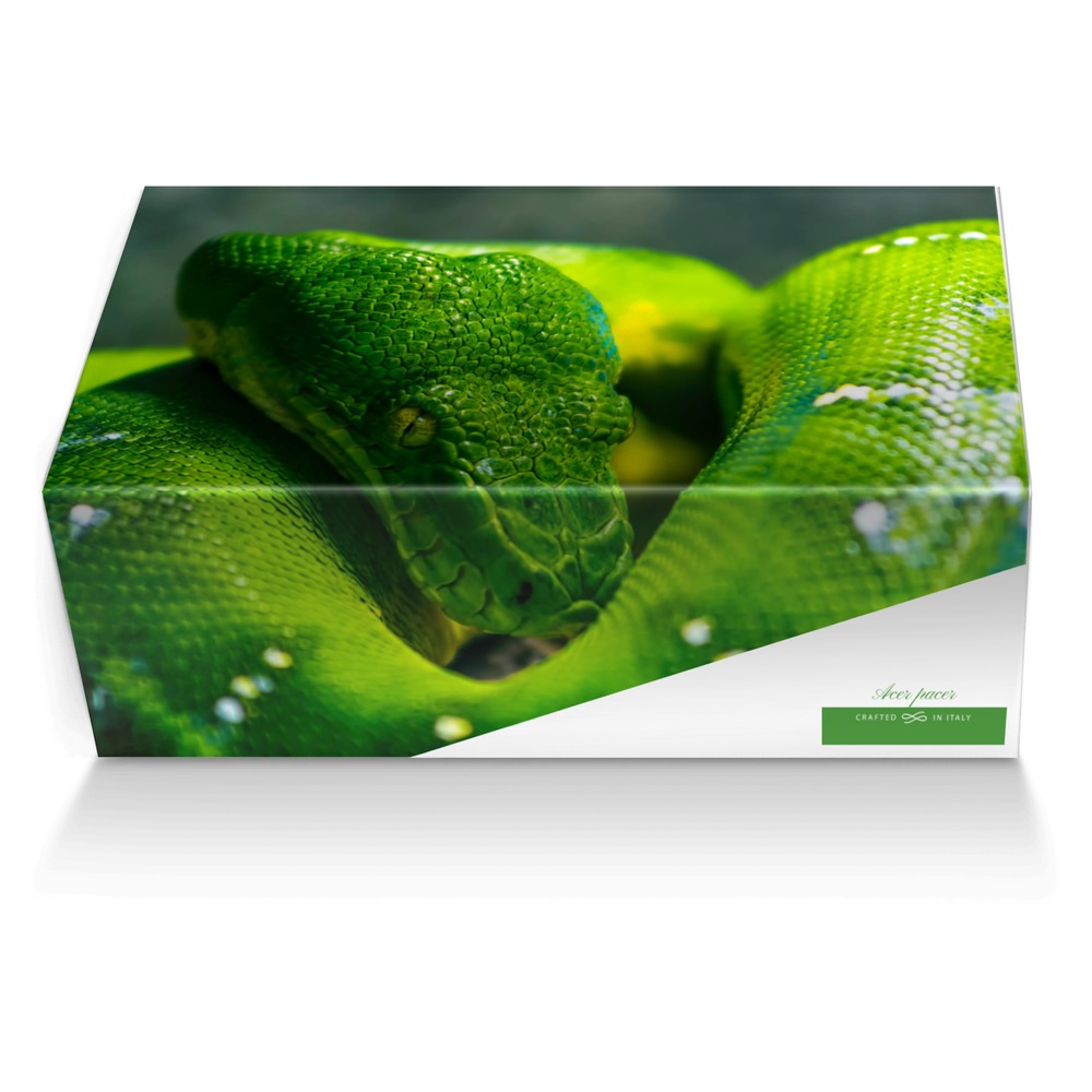 Acer pacer custom made shoe box Acer pacer artisan made in Italy shoes by Lubabalo Vincent Ntsondwa