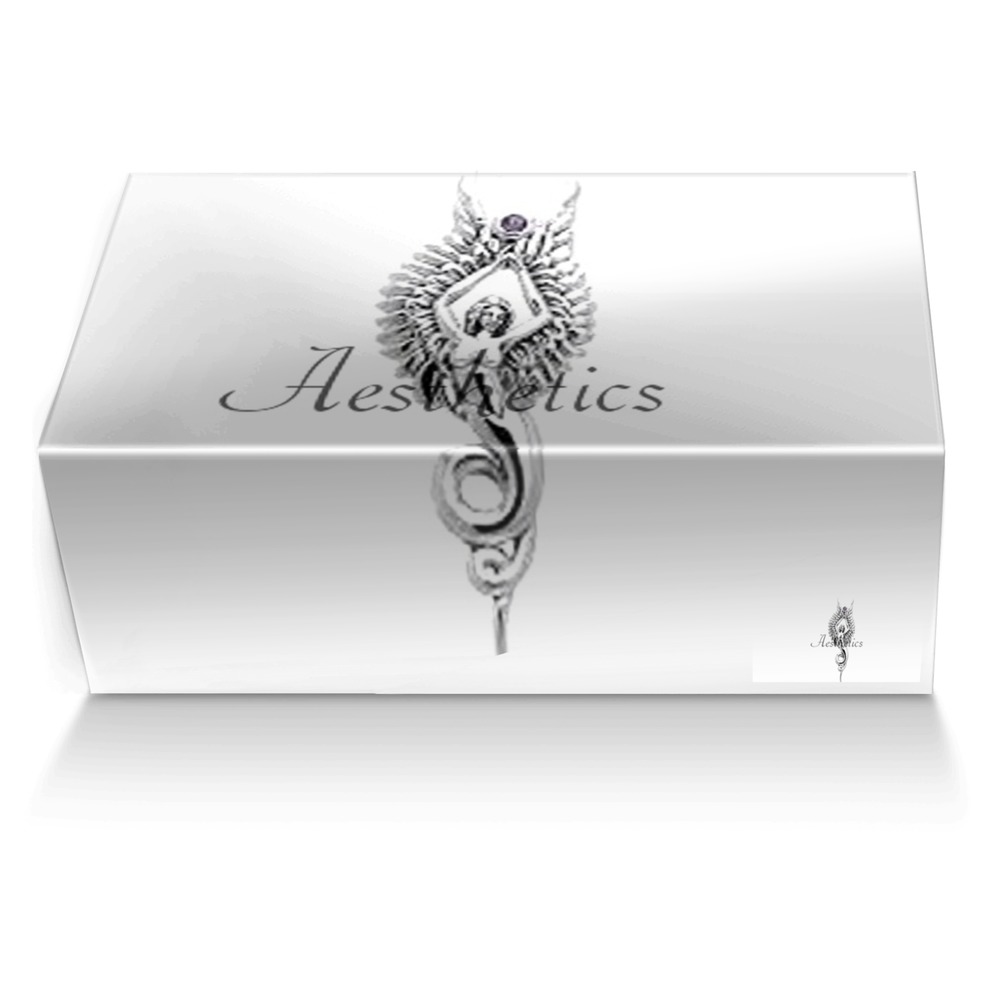 Aesthetics 5 custom made shoe box Aesthetics 5 artisan made in Italy shoes by Cj Palmer