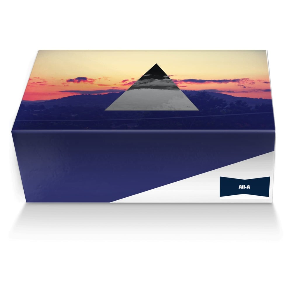 Ali-A custom made shoe box Ali-A artisan made in Italy shoes by Pierrecam