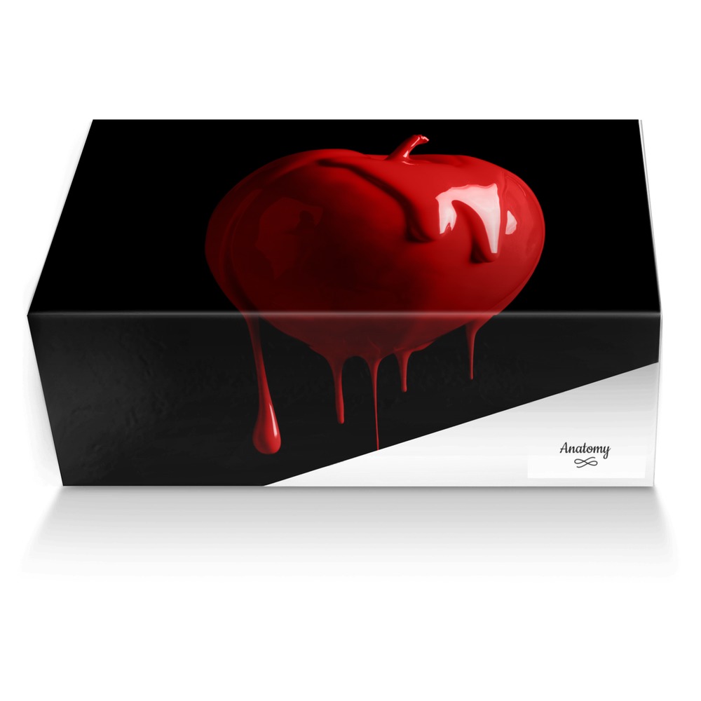 Anatomy custom made shoe box Anatomy artisan made in Italy shoes by Skarr Akbar
