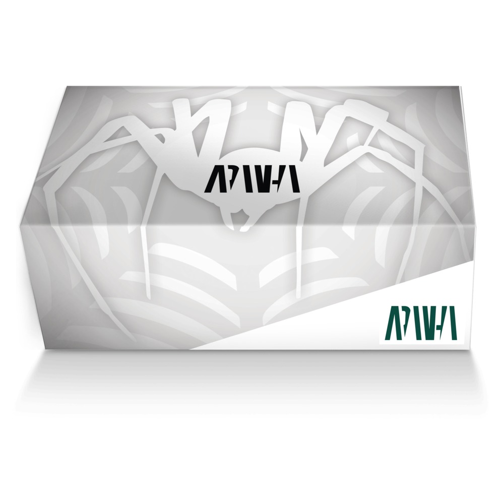 Aranha custom made shoe box Aranha artisan made in Italy shoes by Tony Aranha