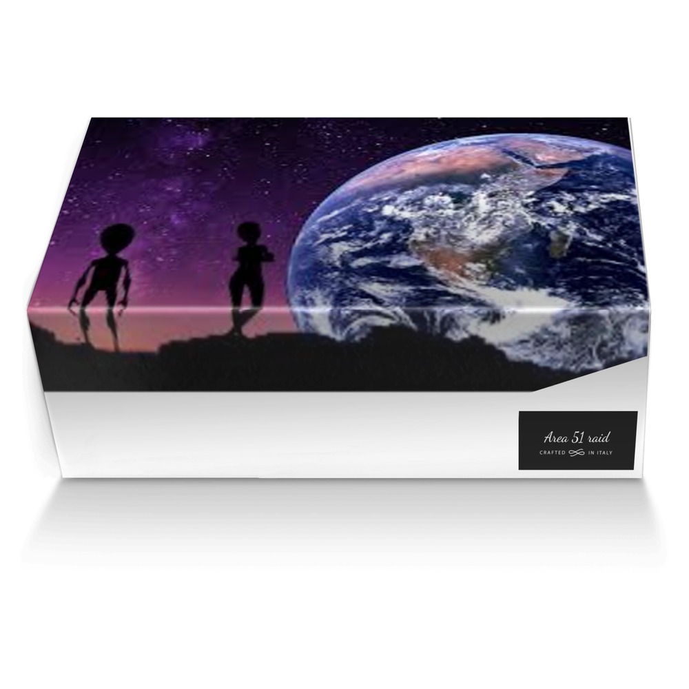 Area 51 raid custom made shoe box Area 51 raid artisan made in Italy shoes by Kimberly Bernstorff