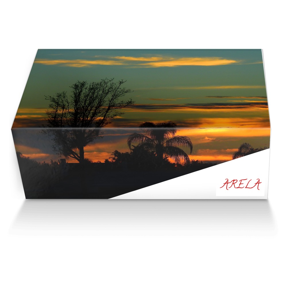 Arela custom made shoe box Arela artisan made in Italy shoes by Dennis Singleton