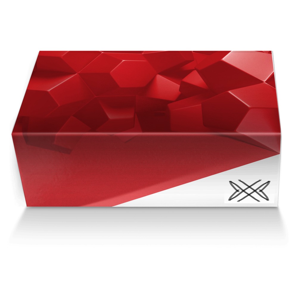 Atton HGL'S custom made shoe box Atton HGL'S artisan made in Italy shoes by Roman Vojir