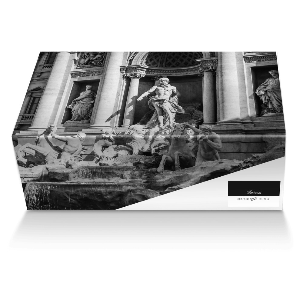 Aureus custom made shoe box Aureus artisan made in Italy shoes by Demitri Sundown
