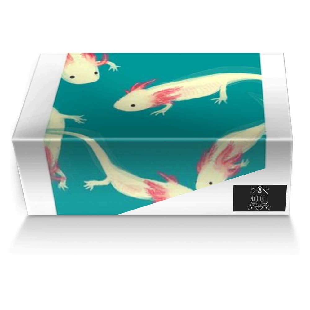 Axolotl  artisan made in Italy shoes by Brianna Rader