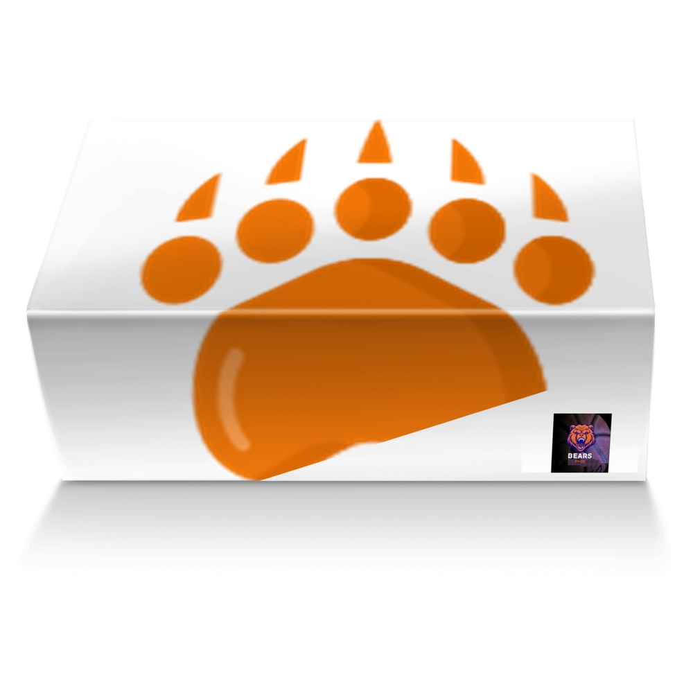 Bear Pride Shoe custom made shoe box Bear Pride Shoe artisan made in Italy shoes by Designs By Dako