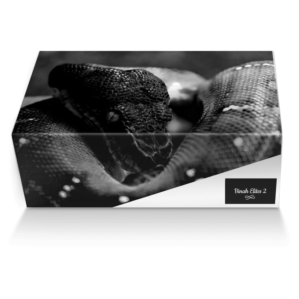Binah Elites 2 custom made shoe box Binah Elites 2 artisan made in Italy shoes by Antwon Watson