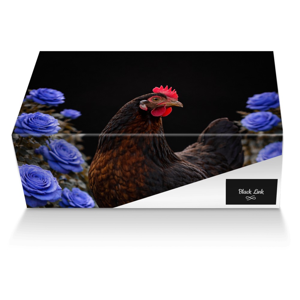 Black Link artisan made in Italy shoes by Shamika Yolanda Pompey