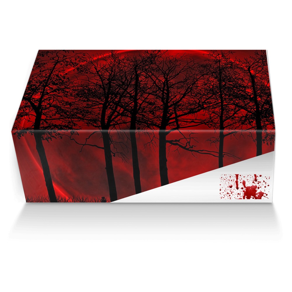 Bloods custom made shoe box Bloods artisan made in Italy shoes by Darrius U Will Get Sued For Taking My Ideas Fair Warning