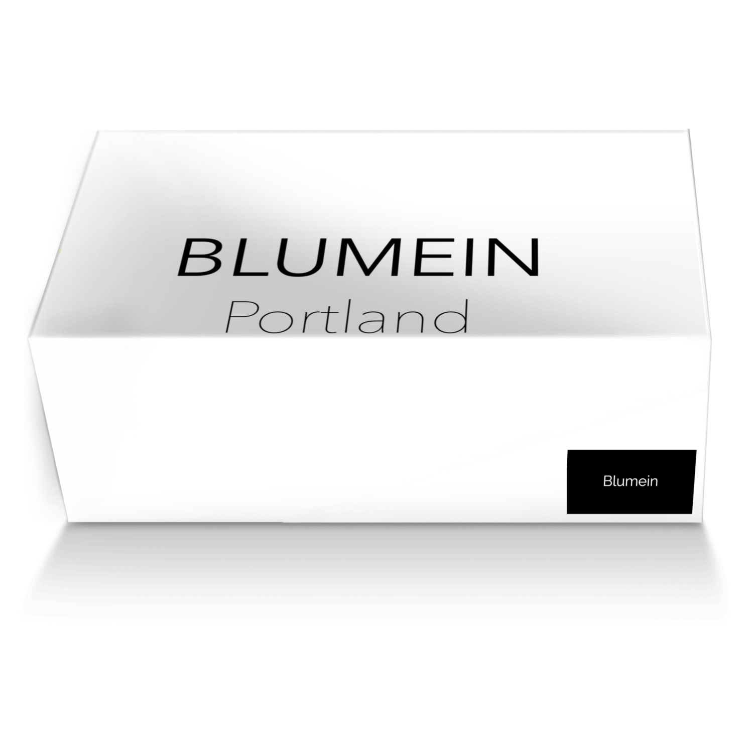 portland custom shoes Blumein shoe custom by Blumein concept  Portland  A