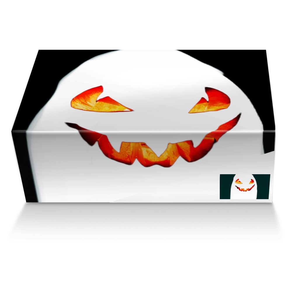 Boo custom made shoe box Boo artisan made in Italy shoes by Melissa Friesen