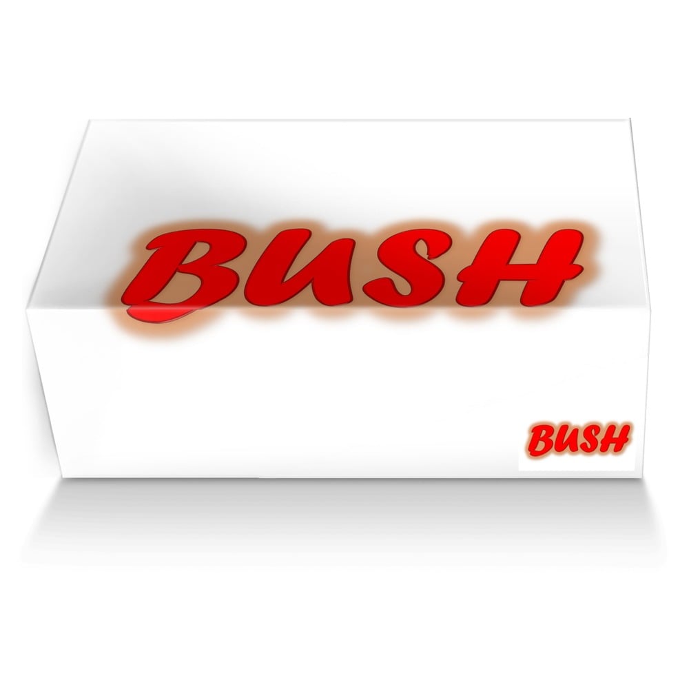 bush custom made shoe box bush artisan made in Italy shoes by George Kufa