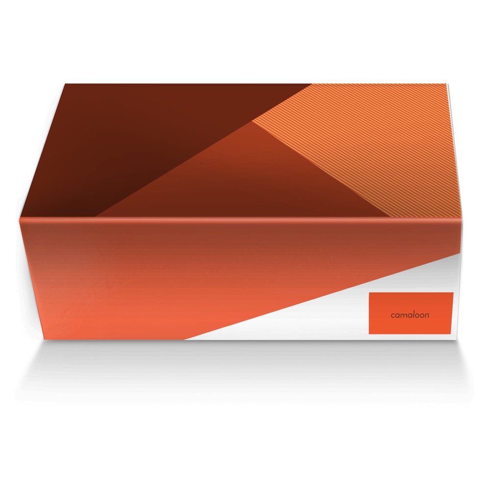 camaloon custom made shoe box camaloon artisan made in Italy shoes by Equipo Camaloon