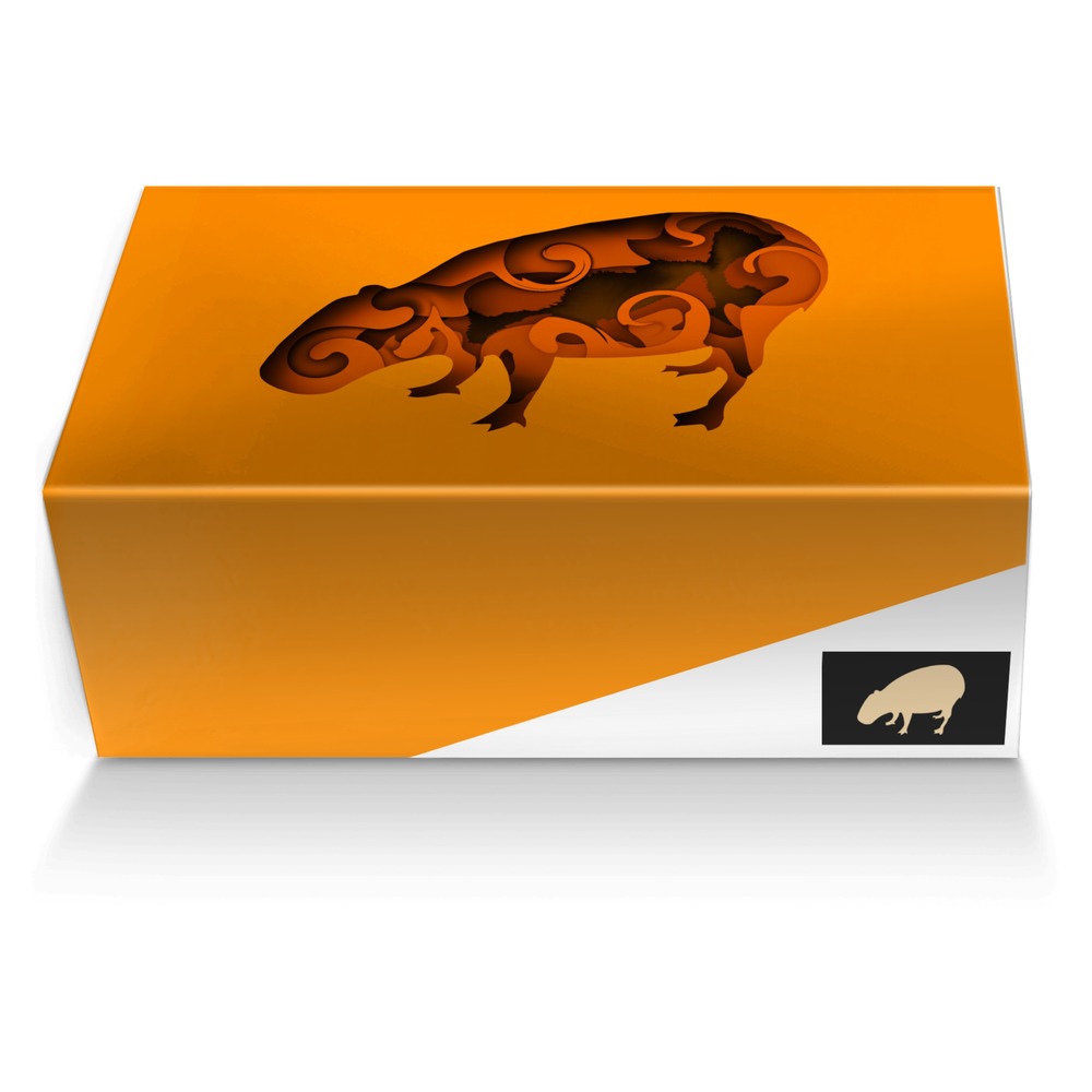 CapyBara artisan made in Italy shoes by Samuel Novitzky