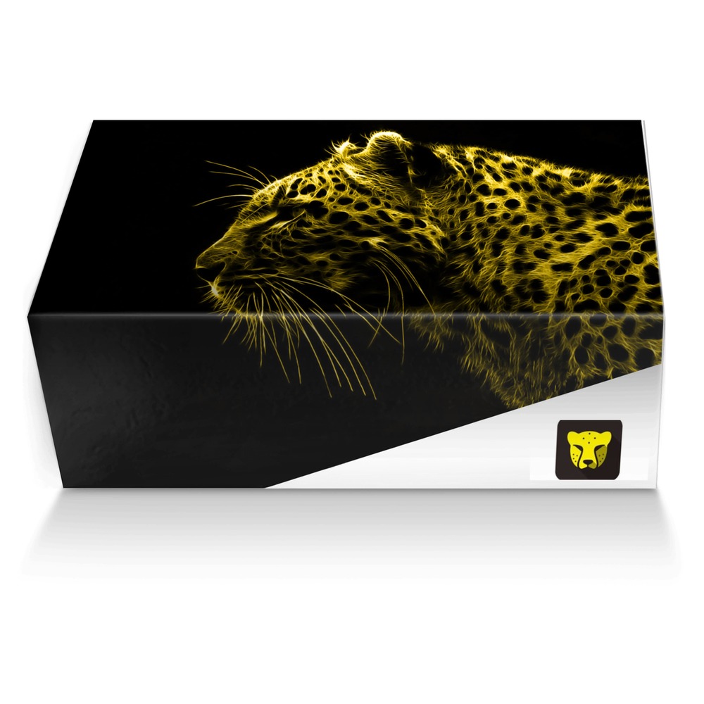 Cheetah custom made shoe box Cheetah artisan made in Italy shoes by Michael Chambers
