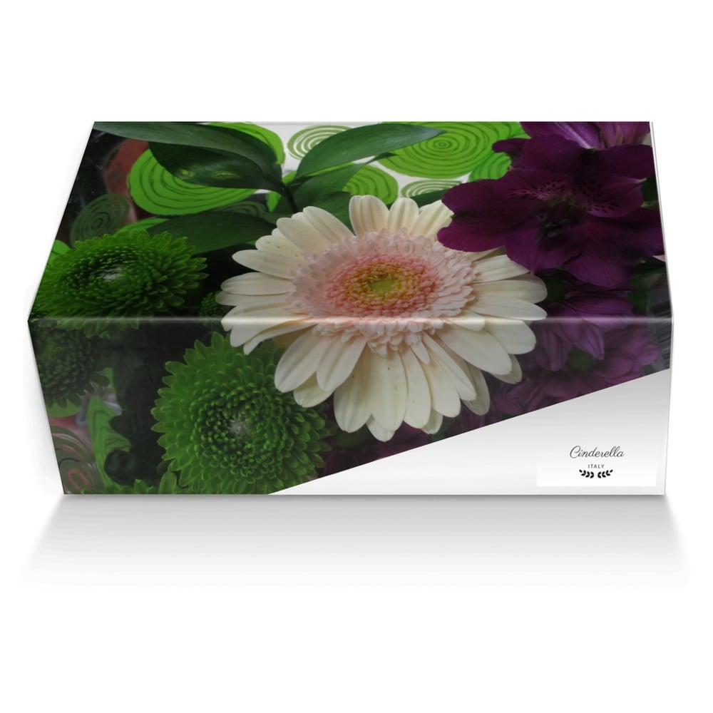 Cinderella custom made shoe box Cinderella artisan made in Italy shoes by Gary Edward Allen