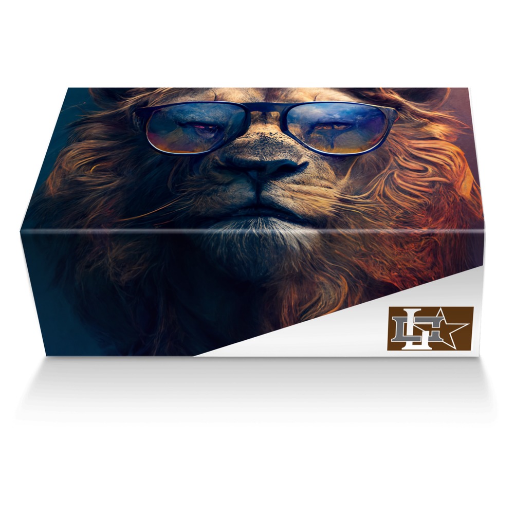 concrete lion custom made shoe box concrete lion artisan made in Italy shoes by Rodney R.