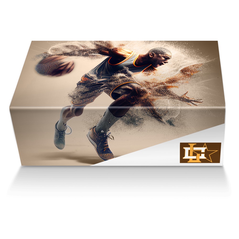 Concrete Lion custom made shoe box Concrete Lion artisan made in Italy shoes by Rodney R.