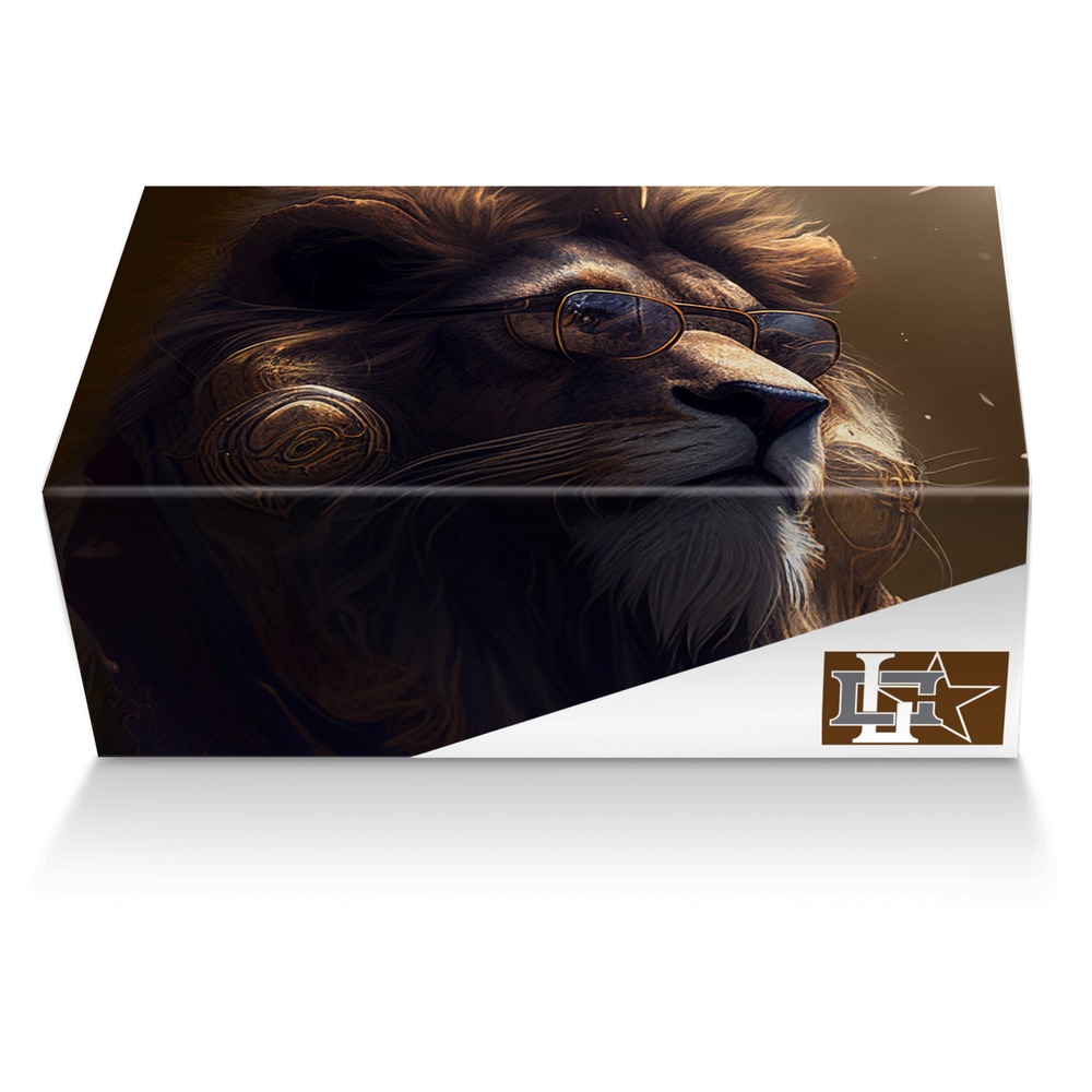 concrete lion custom made shoe box concrete lion artisan made in Italy shoes by Rodney R.