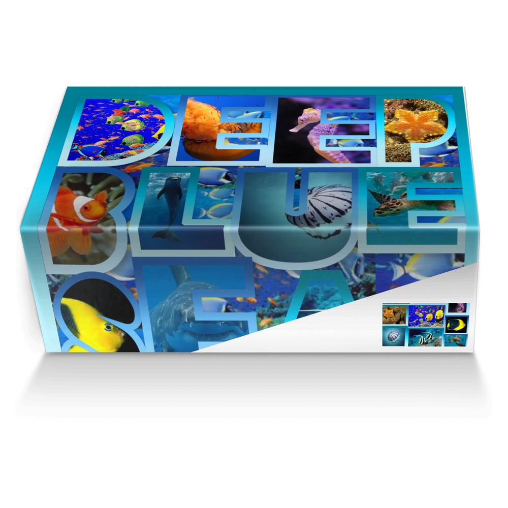 deep blue sea custom made shoe box deep blue sea artisan made in Italy shoes by Nora Payeton