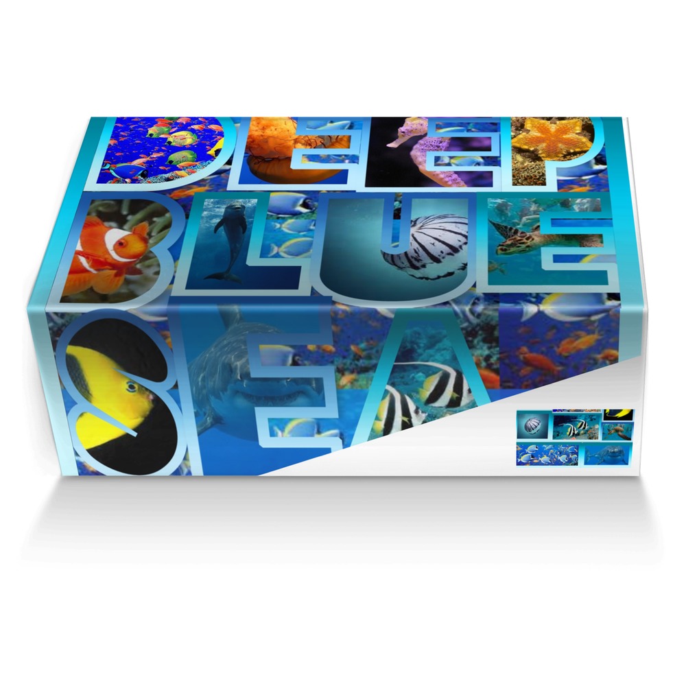 deep blue sea custom made shoe box deep blue sea artisan made in Italy shoes by Nora Payeton