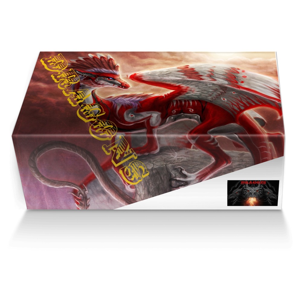 dragons custom made shoe box dragons artisan made in Italy shoes by Nora Payeton