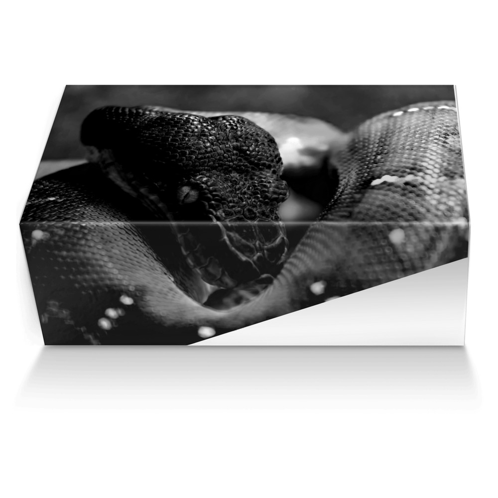 Euphoric artisan made in Italy shoes by Antoinette Seawood