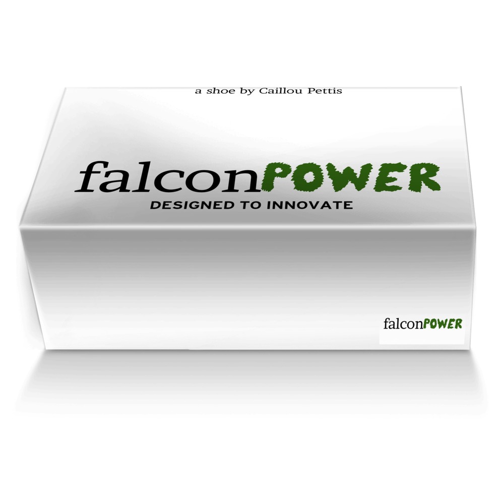 falconPOWER custom made shoe box falconPOWER artisan made in Italy shoes by Caillou Pettis