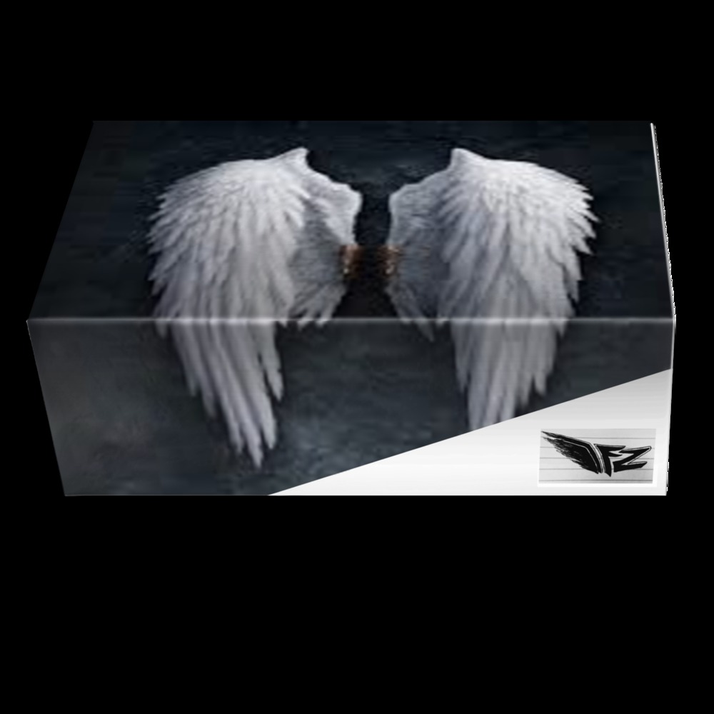 Flight Zone Casual | A Custom Shoe