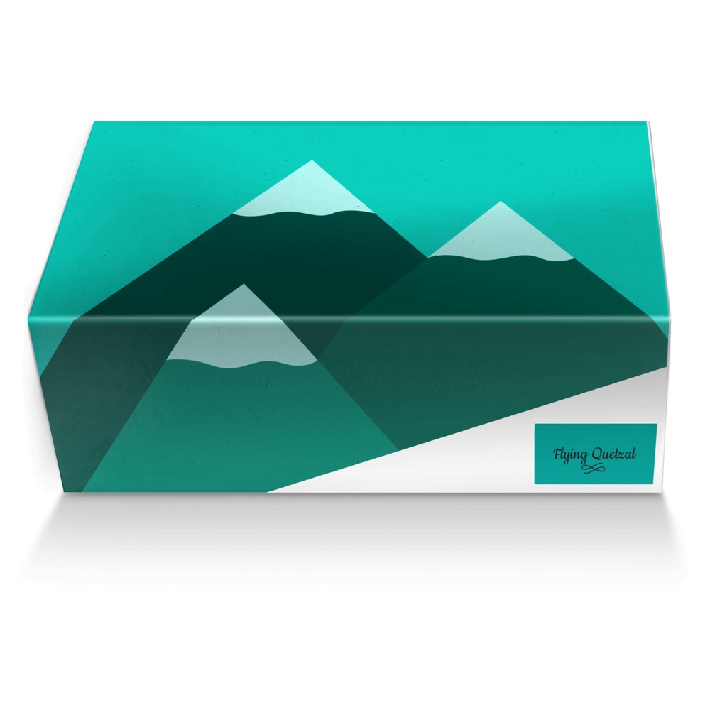 Flying Quetzal custom made shoe box Flying Quetzal artisan made in Italy shoes by Jose Morales