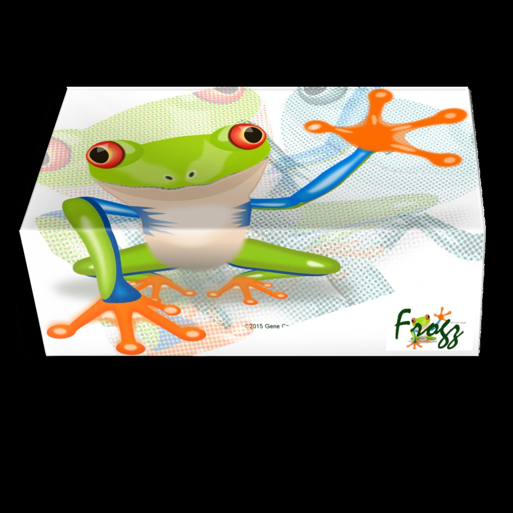 frogz shoes
