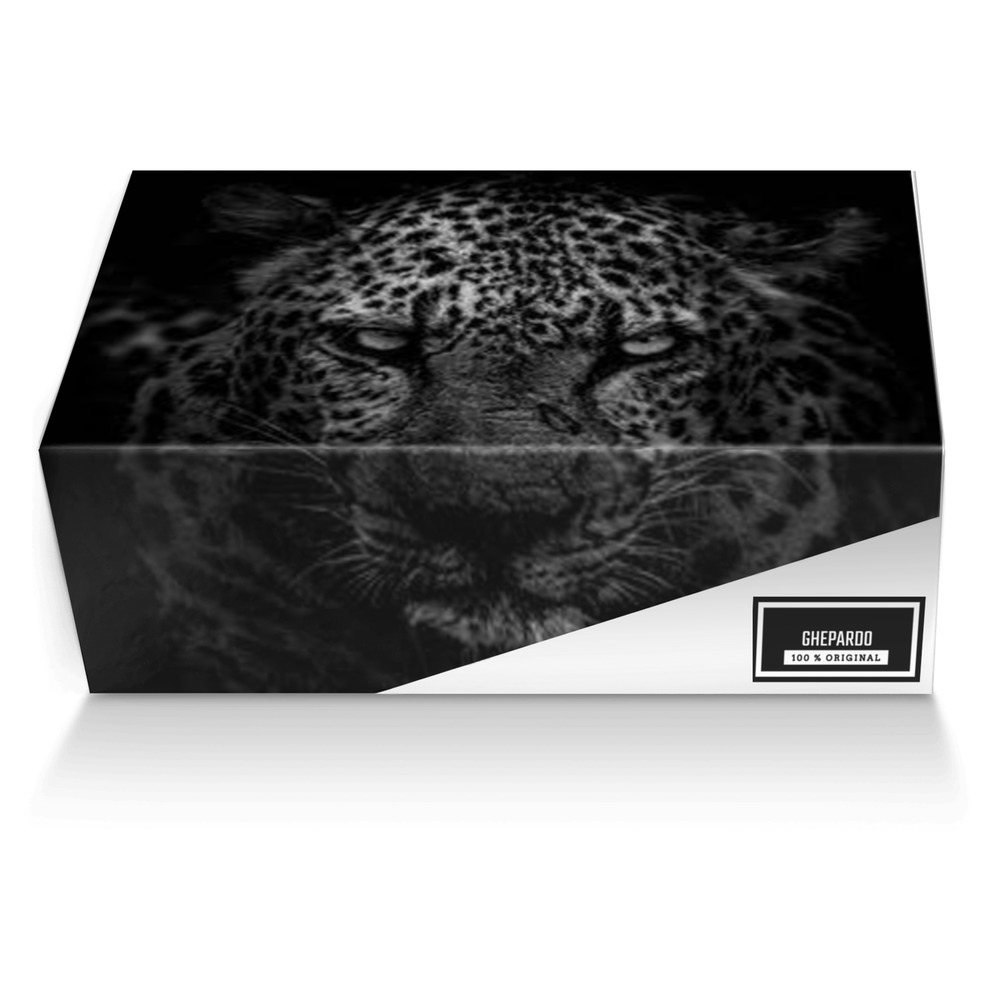 re ghepardo e ghepardo