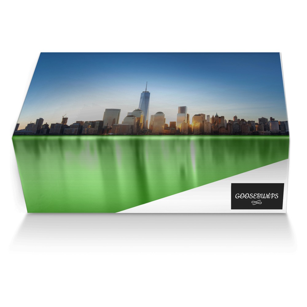 GOOSEBUMPS custom made shoe box GOOSEBUMPS artisan made in Italy shoes by Mars Samad
