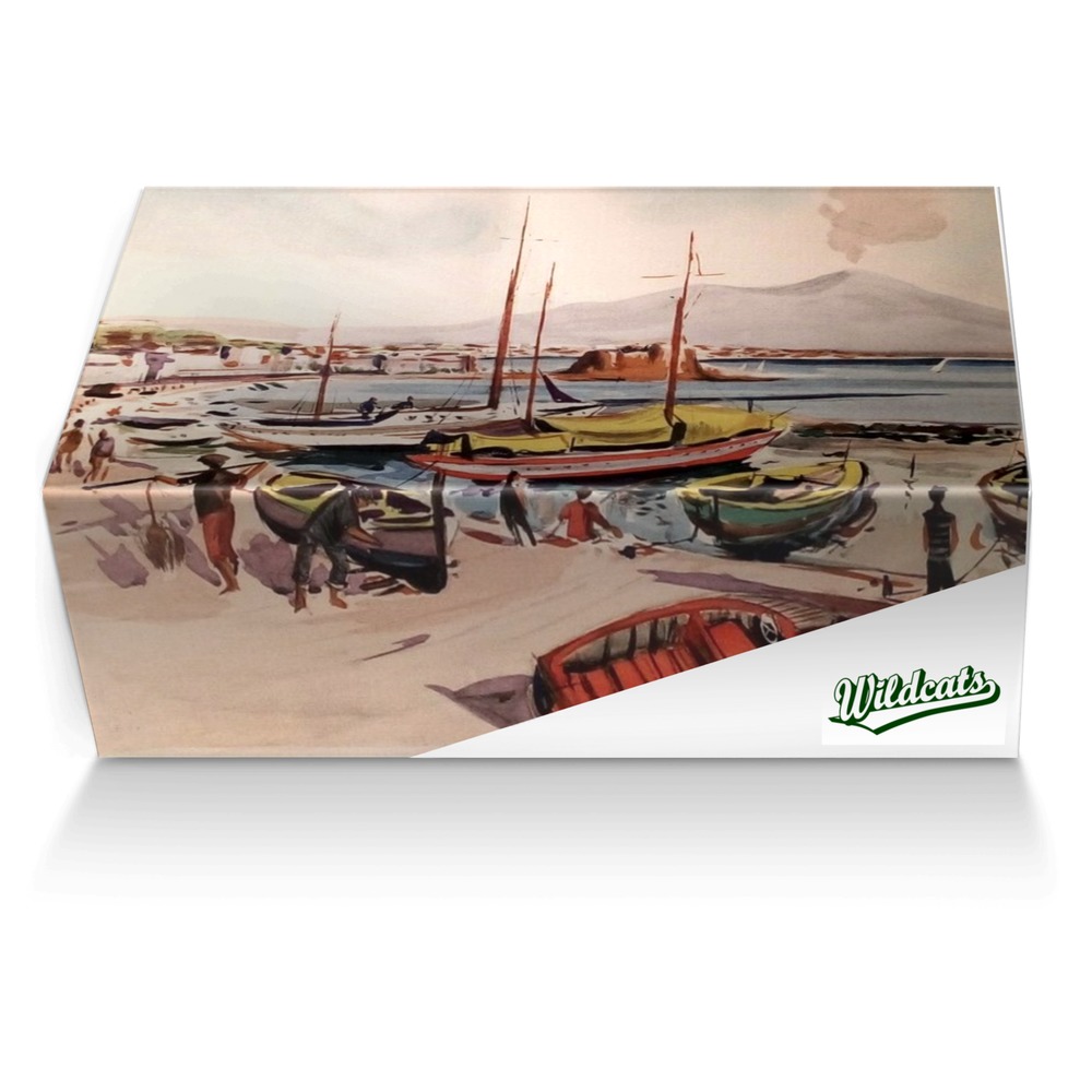 Wildcats custom made shoe box Wildcats artisan made in Italy shoes by Bob Galvin