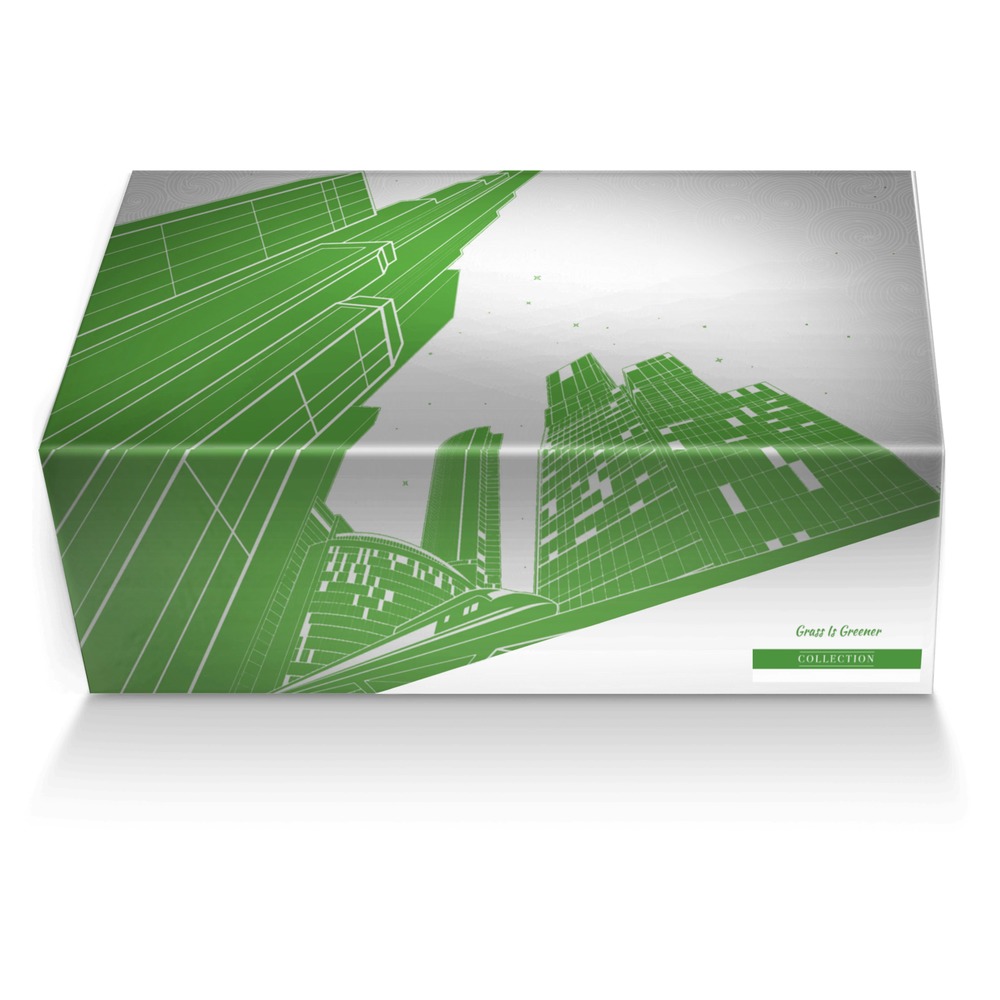 Grass Is Greener custom made shoe box Grass Is Greener artisan made in Italy shoes by Aaliyah Pierce