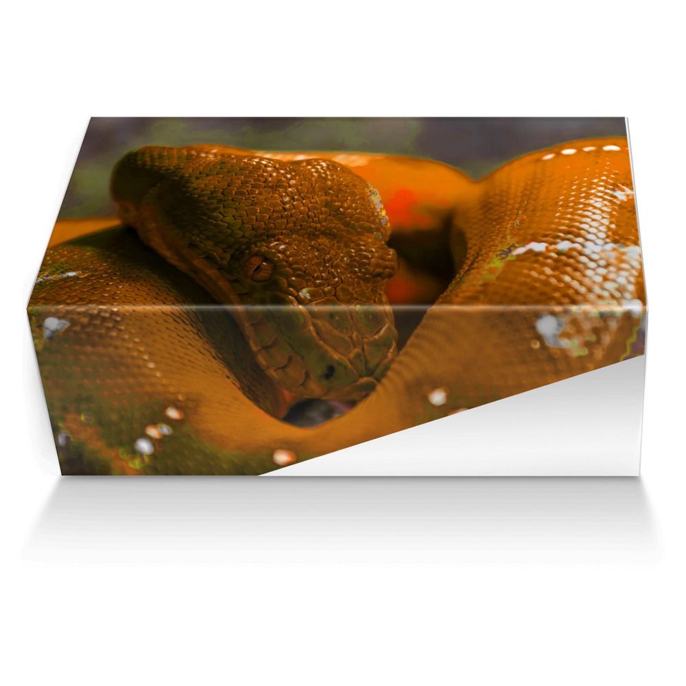 Her World custom made shoe box Her World artisan made in Italy shoes by Les Will