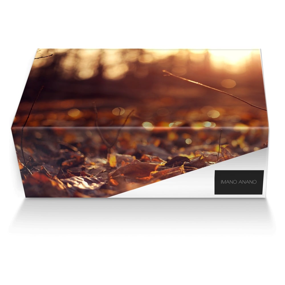 Imano Anano custom made shoe box Imano Anano artisan made in Italy shoes by Iman A