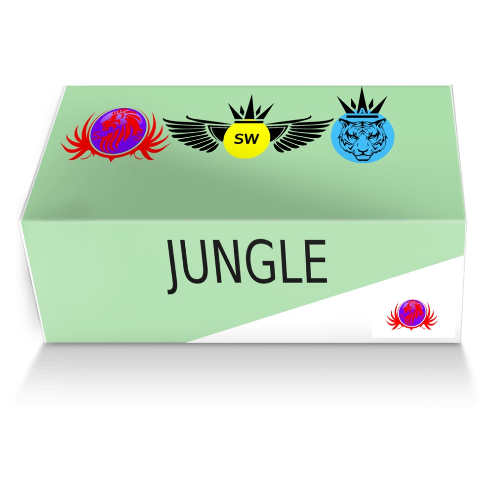 Jungle custom made shoe box Jungle artisan made in Italy shoes by Seyon Sevverl