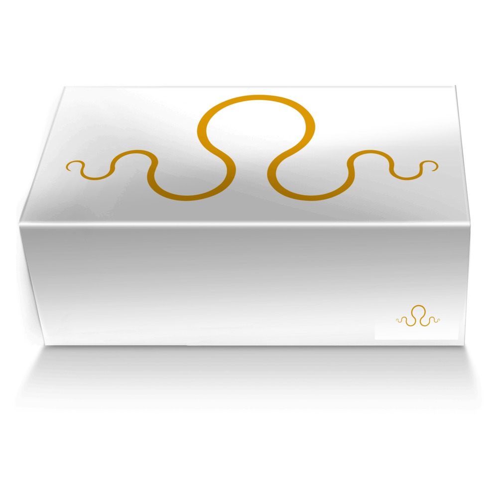 Kraken 4 custom made shoe box Kraken 4 artisan made in Italy shoes by Carlos Segarra