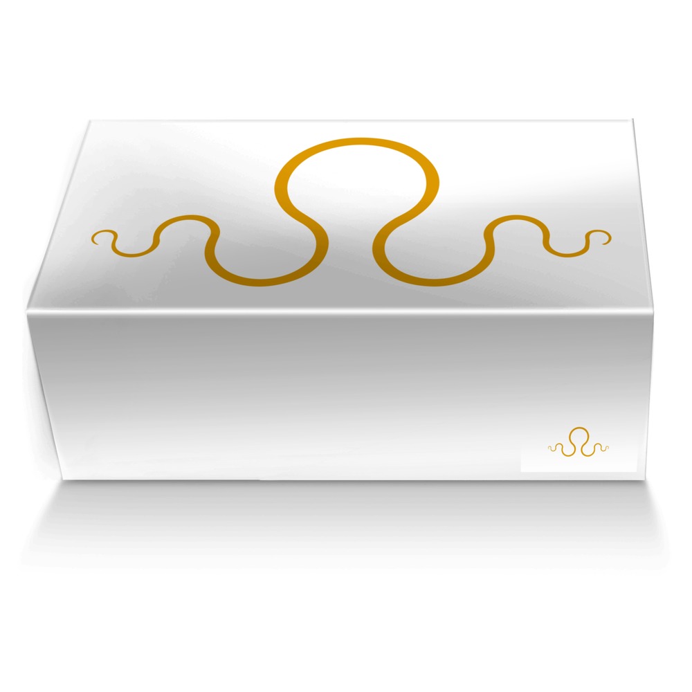 Kraken 5 custom made shoe box Kraken 5 artisan made in Italy shoes by Carlos Segarra