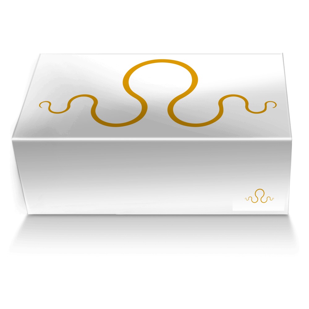 Kraken 2 custom made shoe box Kraken 2 artisan made in Italy shoes by Carlos Segarra