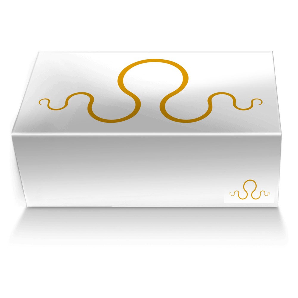Kraken6 custom made shoe box Kraken6 artisan made in Italy shoes by Carlos Segarra