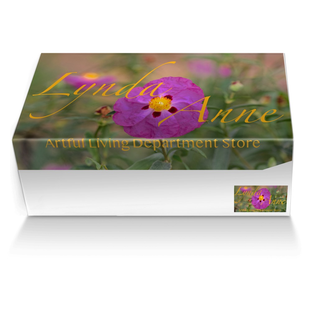 LA Lux custom made shoe box LA Lux artisan made in Italy shoes by Lynda Anne Williams